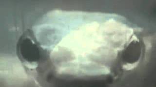 Gravity Kills- Inside-My Cover In A NIN Style