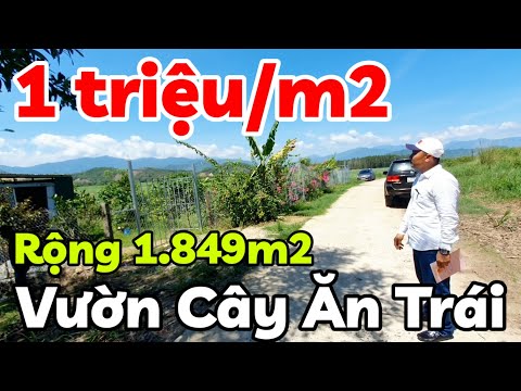 Đất vườn cây ăn trái rộng 1.849m2 giá 1 tỷ 839 triệu ở xã Diên Lâm Khánh Hòa cách Nha Trang 20km