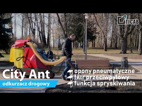 Street Vacuum Cleaner City Ant