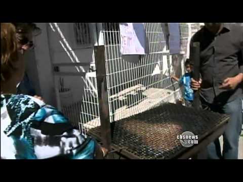 Chilean Miners' Underground Secrets Surface