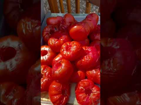 Grilling tomatoes! Best salsa! Take your recipe and grill all of your ingredients before canning.
