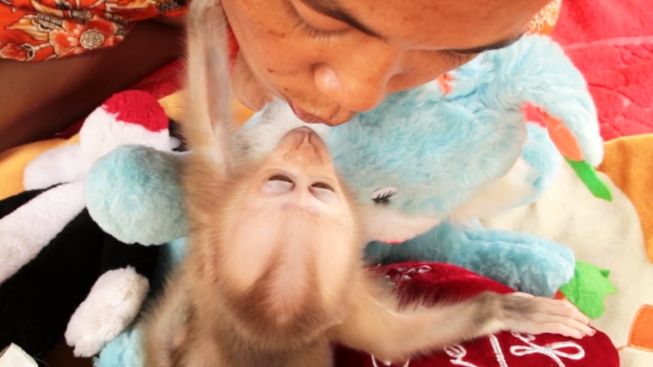 Newborn Baby Too Much Talkative Kissing Mom, So Friendly Baby