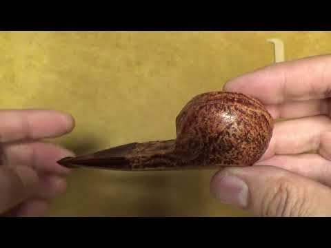 Pipa Dunhill County gruppo 3 - 3117 (2025) - DHCO112