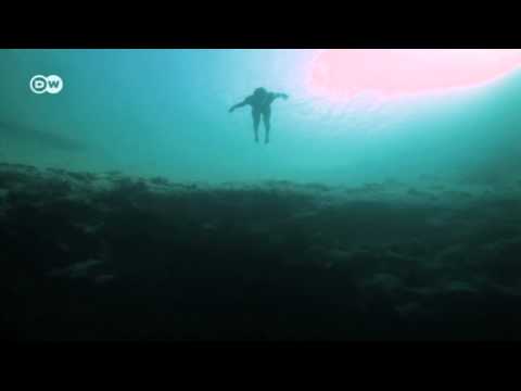 Der Apnoe-Taucher Guillaume Néry | Euromaxx