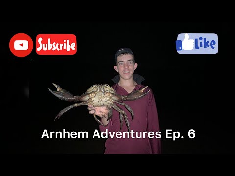 Chasing MASSIVE MUD CRABS Through the mangroves at night!!
