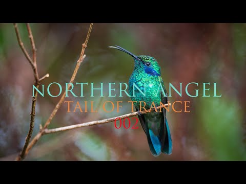 Northern Angel - TAIL OF TRANCE 002