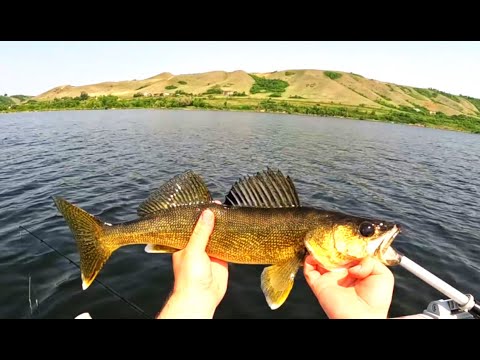 On the 'Eyes | Echo Lake