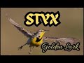 STYX "Golden Lark" (Man of Miracles)