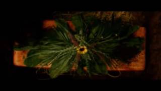 The Shack (2017) - Funeral scene