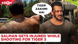 Salman Khan gets INJURED while shooting for Tiger 3; signs multi-crore deal with an OTT platform
