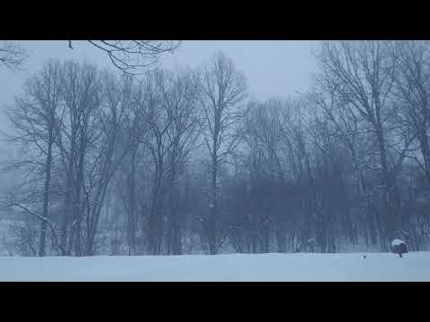 Chicago, February 2021 snow