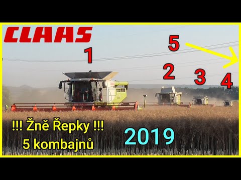 Žně 2019 - Sklizeň Řepky - !!! 5 kombajnů v nasazení !!!