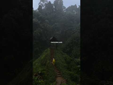 DISCOVER Paksong's Hidden Gems in Laos!