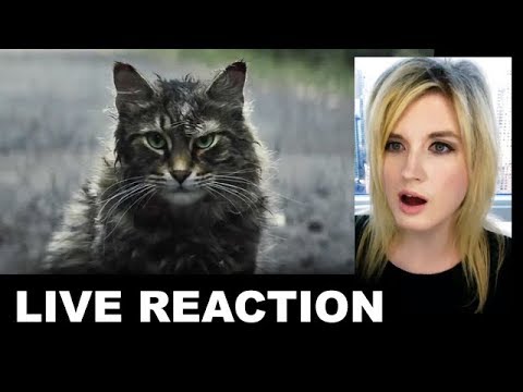 Pet Sematary Trailer REACTION