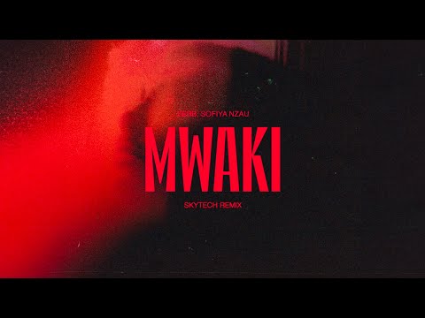 Zerb - Mwaki (Skytech Remix)