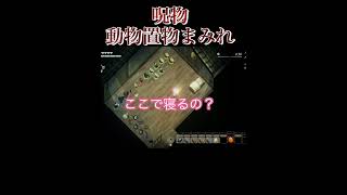 2階#ほの暮らしの庭