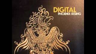 Digital - Space Funk (Rufige Kru Remix)