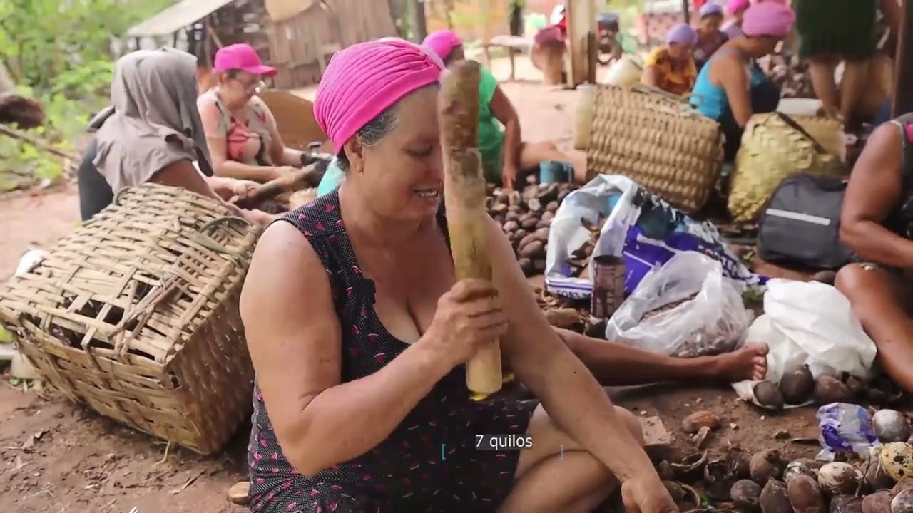 Quebradeiras de coco babaçu de Vitorino Freire.suas lutas,conquista e a importância do coco babaçu.