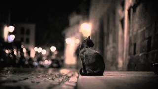 夜にしっぽり聴きたい洋楽集　Vol.4【作業用BGM】 One quiet night : Relaxing Background Music