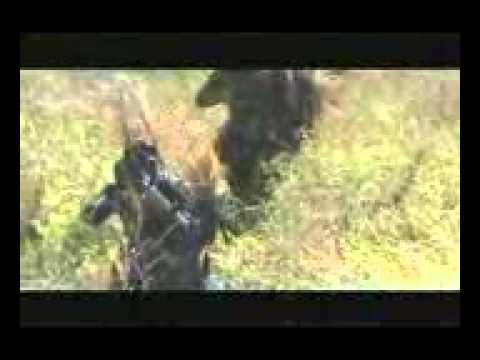 CSC CL 224-09 MAALAB