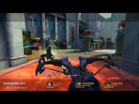 Paladins 1.1 Screen flickering issue.