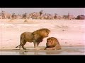 National Geographic African Safari 1996