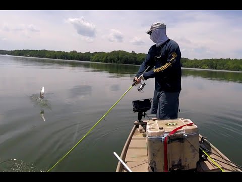 Bass Fishing on Kentucky Lake in Small Jon Boat