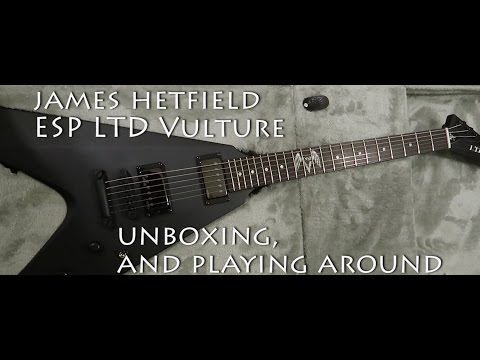 James Hetfield Vulture