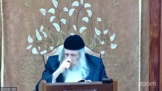 הגה"ח הרב מענדל וועכטר שליט"א ד' אדר תשפ"ה - ליקוטי שיחות (הרב אברהם מנחם מענדל וכטר) - התמונה מוצגת ישירות מתוך אתר האינטרנט יוטיוב. זכויות היוצרים בתמונה שייכות ליוצרה. קישור קרדיט למקור התוכן נמצא בתוך דף הסרטון