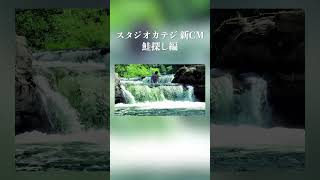 スタジオカテジ新CM 鮭探し編 #ストグラ
