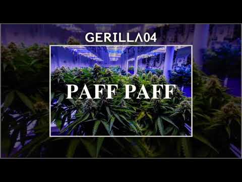Gerilla04 - PAFF PAFF