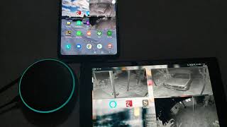 Alexa auto response