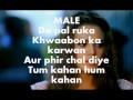 Do Pal Karaoke Instrumental Veer Zara