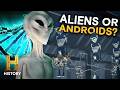 Inside The Mystery Of The Greys Ancient Aliens