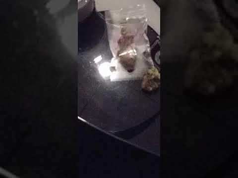 calicartel x 237 : troche zimno