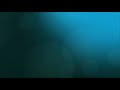 PBS Background 2009 2019