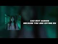 Sad Edit Audios Because You Are Crying Rn