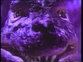 Legend Of Dinosaurs VHS Preview