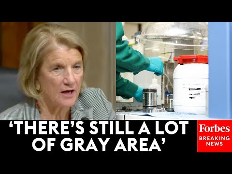 'Obviously It Hasn't Been Specific Enough': Shelley Moore Capito Calls Out Inconsistent PFAS Laws