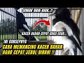 HOW TO QUICKLY BREAK THEIR DESIRE THE FOUNDATION OF THE KACER