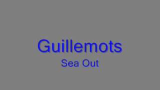 Guillemots - Sea Out.wmv