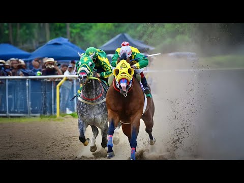 El Culichi - Banda El Padrino