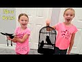 Trinity And Madison Get New Pets