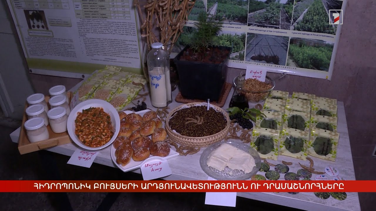 Հիդրոպոնիկ բույսերի արդյունավետությունն ու դրամաշնորհները