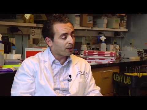 Elise meets Researcher Josh Brody!