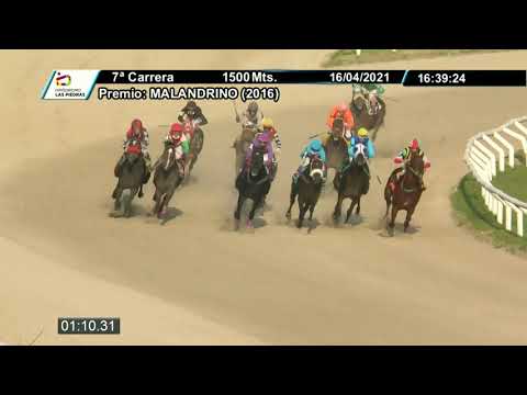 210416 c07 - KEEP HONOR - HIPODROMO LAS PIEDRAS