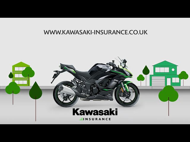 Ninja 125 BX125CTFAN (GN1/GY1)