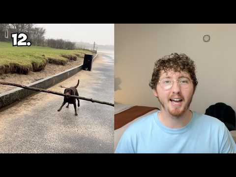 The Dogs This Week Were the Best They've Ever Been