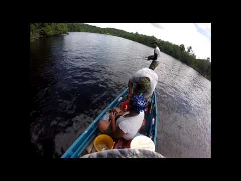 Piranha Fishing in Linden Guyana (on Crankbaits)