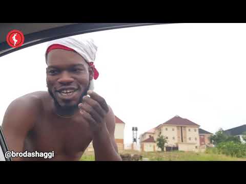 BRODASHAGGY TOUT COLLECTOR